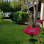 Ilaria Casa - Tropea