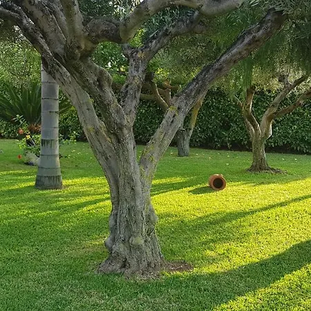Ilaria Casa - Tropea * Capo Vaticano