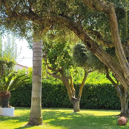 Ilaria Casa - Tropea Apartment